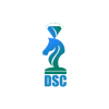 Diamante Strategic Consulting S.R.L Logo